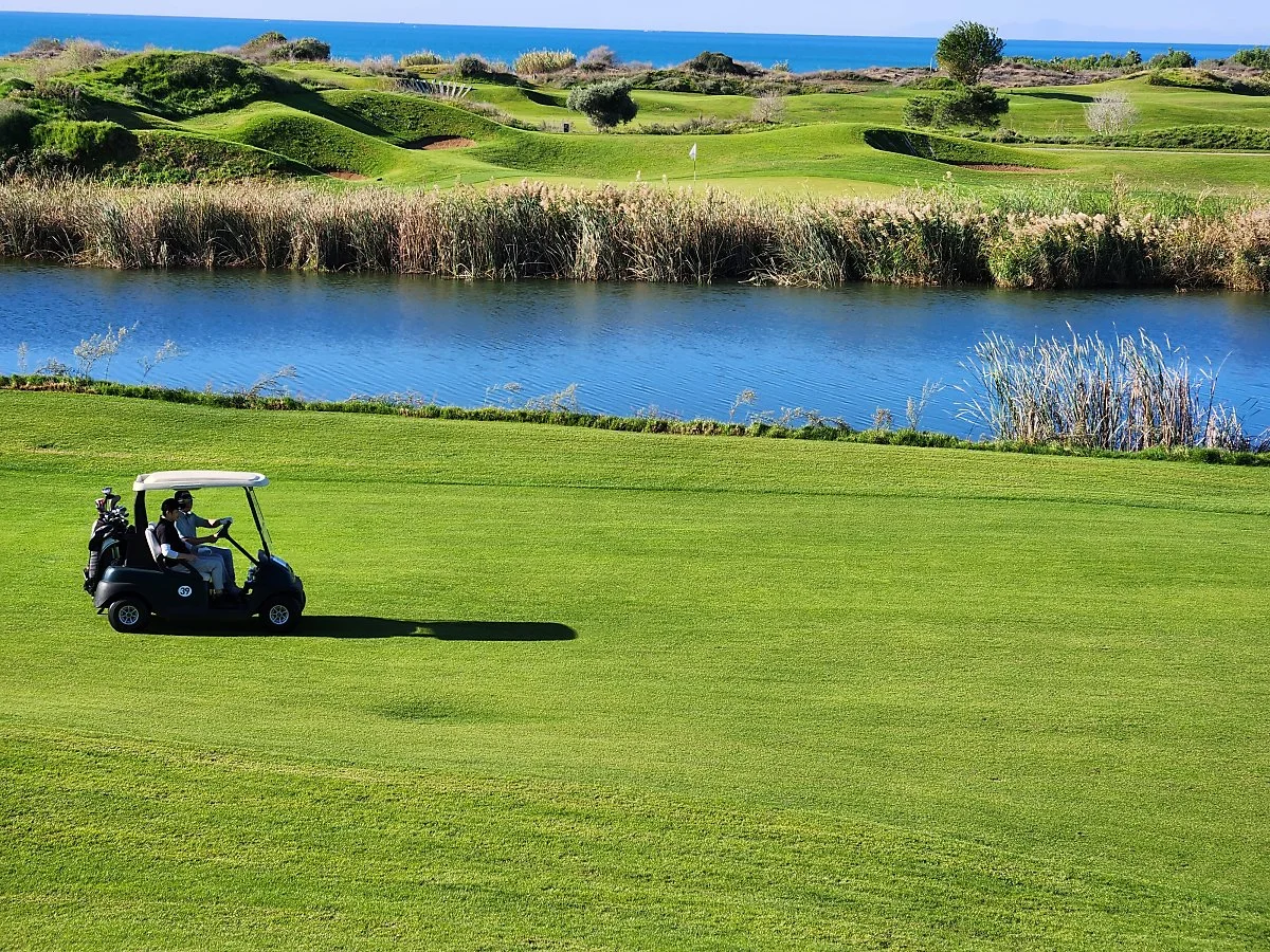 %EB%A6%AC%ED%82%A4%EC%95%84_%EB%A7%81%ED%81%AC%EC%8A%A4_%2841%29.jpg?type=w1200