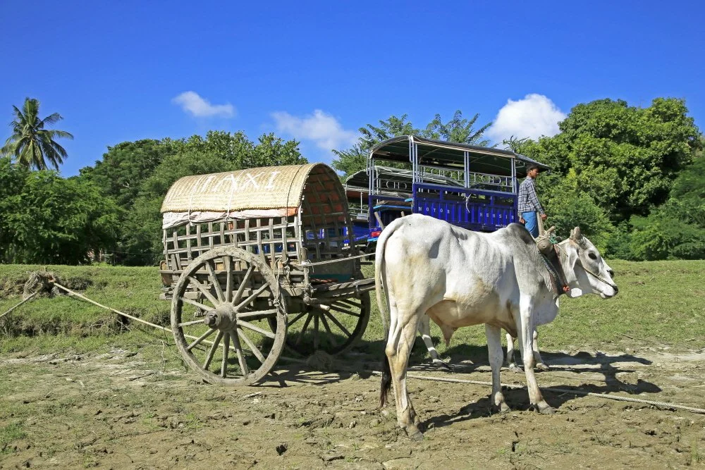 %EB%B0%8D%EA%B5%B0_%EC%9A%B0%ED%83%9D%EC%8B%9C.JPG?type=w1200