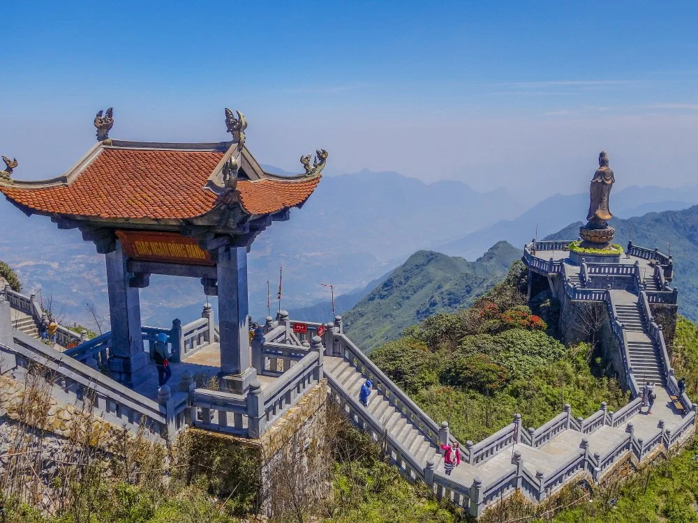 %EC%82%AC%ED%8C%8C_%ED%8C%90%EC%8B%9C%ED%8C%90.jpg?type=w1200