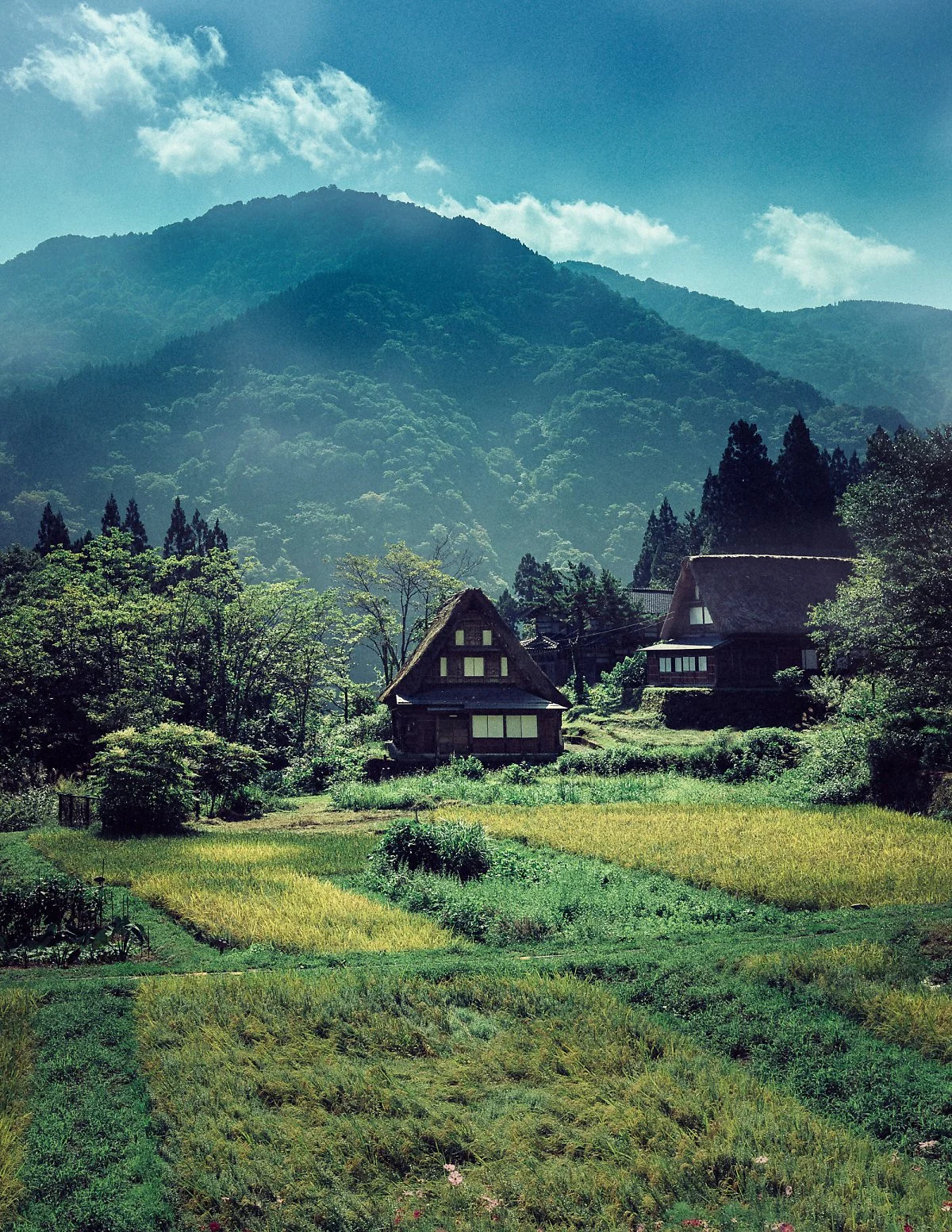 %ED%95%A9%EC%9E%A5%EB%A7%88%EC%9D%84-1.jpg?type=w1200