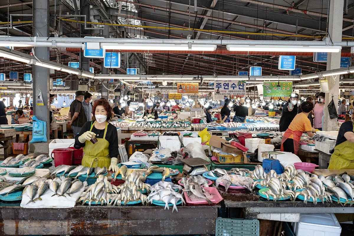 %EC%A0%9C%EC%A3%BC_5%EC%9D%BC%EC%9E%A5_%281%29%EC%88%98%EC%82%B0%EB%AC%BC%EC%BD%94%EB%84%88.jpg?type=w1200