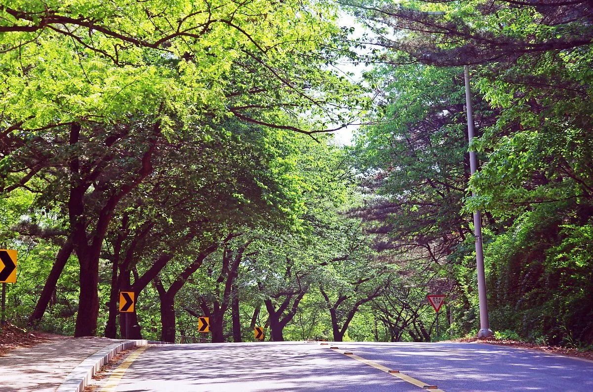 %EC%9A%B0%EC%95%94%EC%82%B0%EA%B1%B7%EA%B8%B0%EA%B8%B8_%EB%A7%90%ED%83%84%EC%9E%AC_%EC%A3%BC%EB%B3%80_%EA%B8%B8.JPG?type=w1200