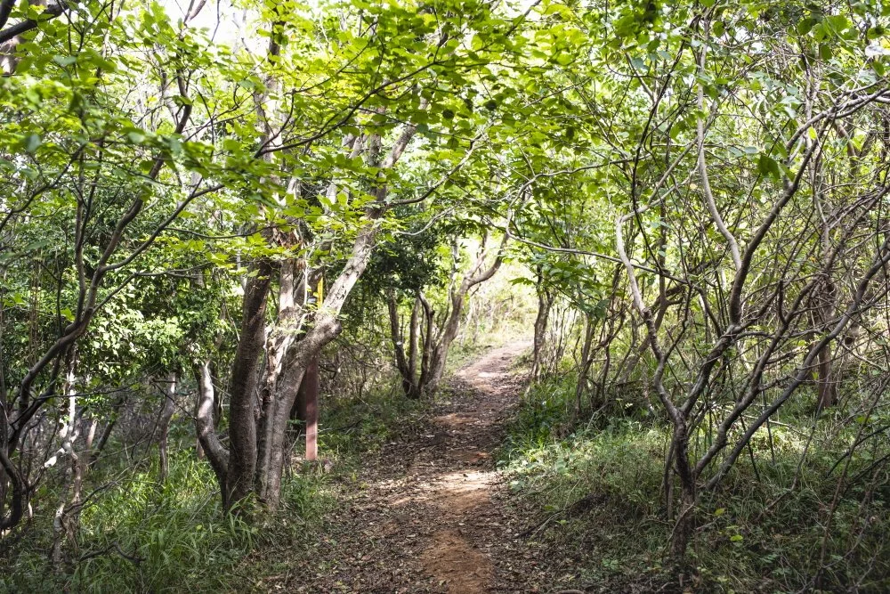 %ED%81%AC%EA%B8%B0%EB%B3%80%ED%99%98%EB%AC%BC%EC%98%81%EC%95%84%EB%A6%AC_%287%29.jpg?type=w1200