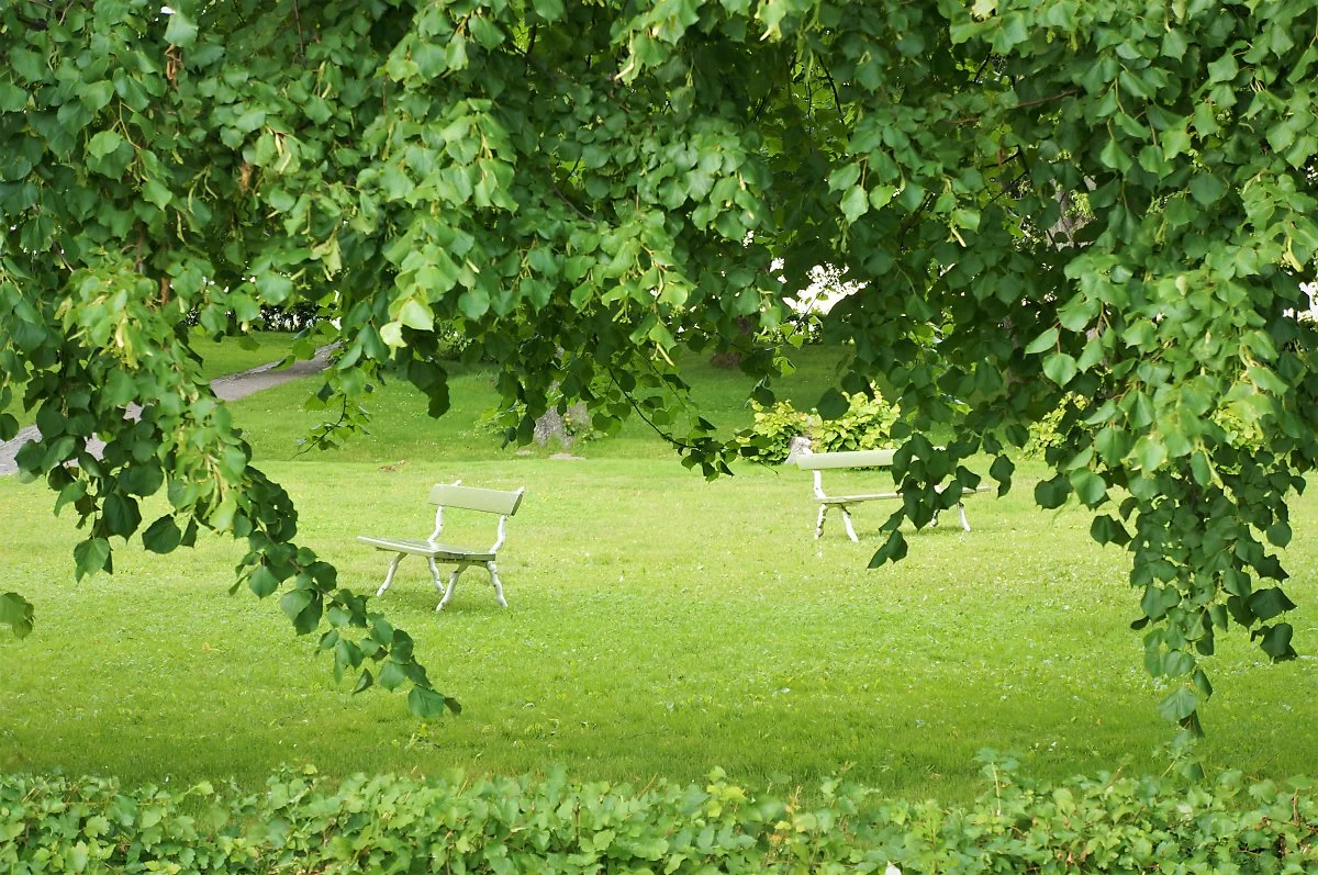 %EC%88%98%EC%98%A4%EB%A9%98%EB%A6%B0%EB%82%98_%EC%9A%94%EC%83%88_%283%29.JPG?type=w1200