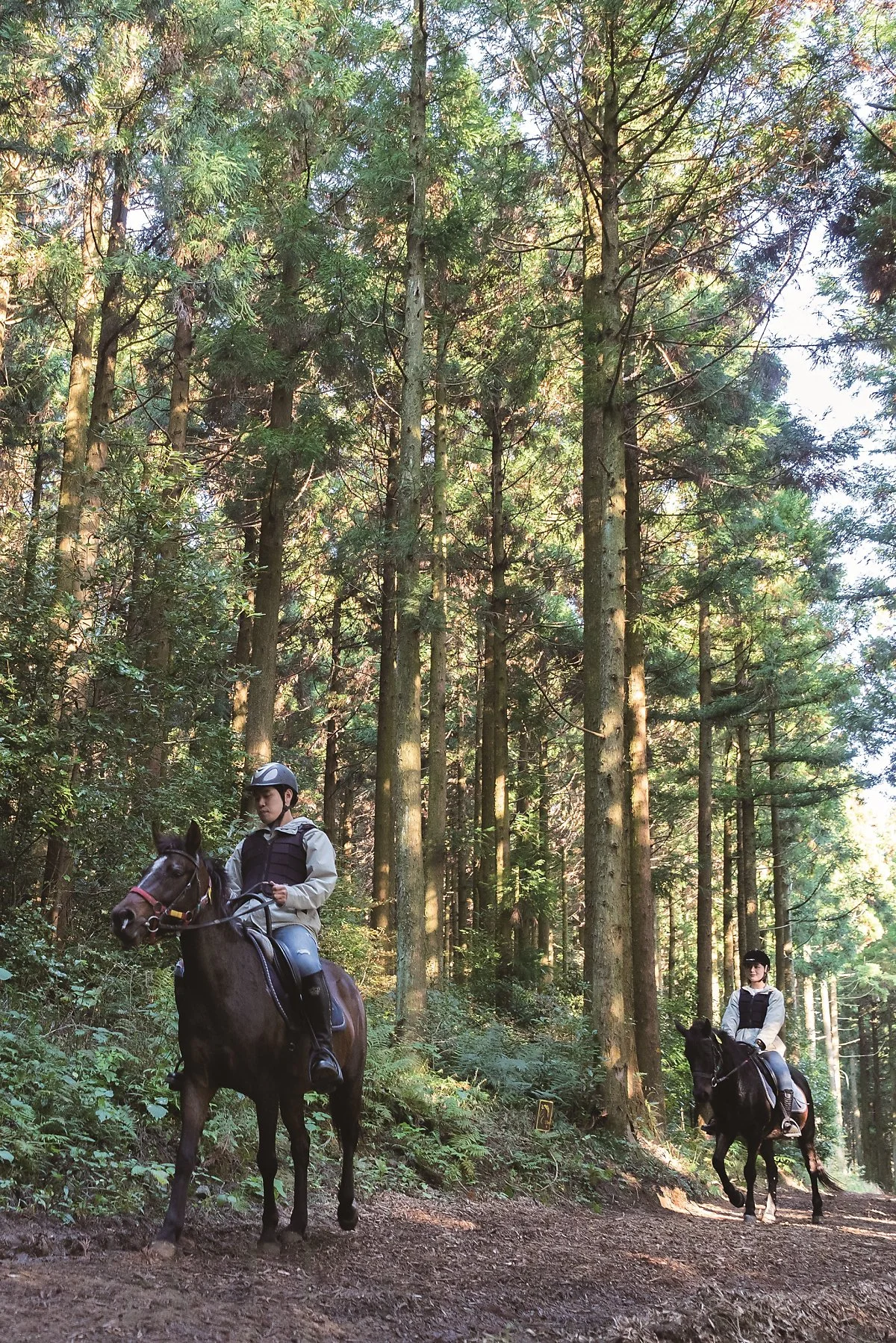 %EC%9D%98%EA%B7%80%EB%A6%AC_%281%29.jpg?type=w1200