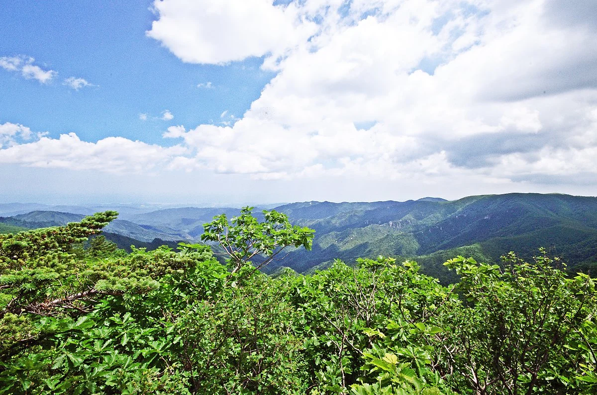 %EB%85%B8%EC%9D%B8%EB%B4%89_%EC%A0%95%EC%83%81%EC%97%90%EC%84%9C_%EB%B3%B8_%ED%92%8D%EA%B2%BD..JPG?type=w1200