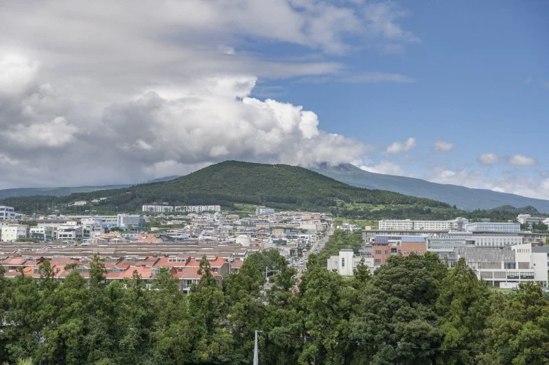 %EB%8D%94%EC%84%B8%EB%A6%AC%EB%A6%AC%EC%A1%B0%ED%8A%B8_%283%29.jpg?type=w1200