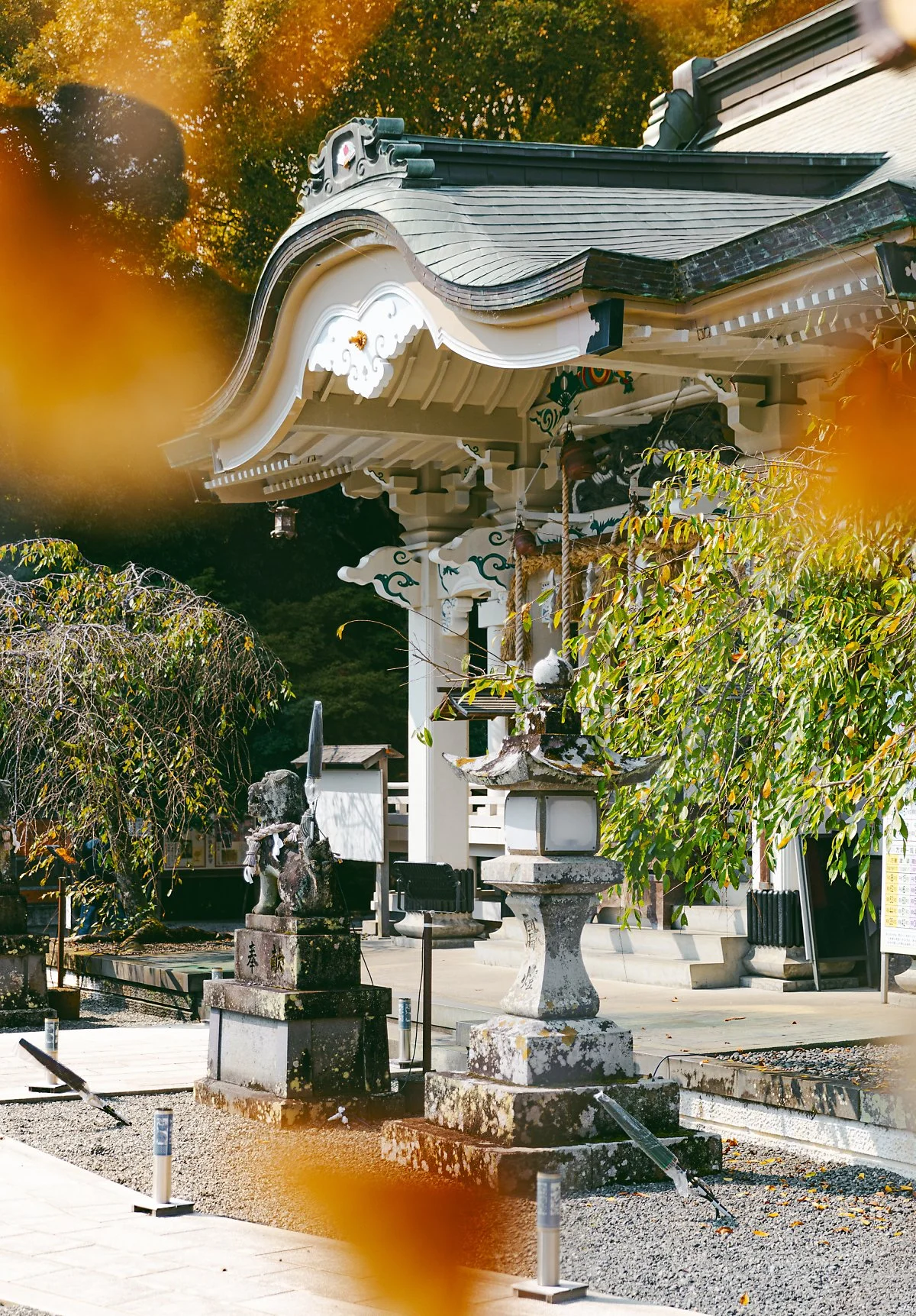 %EB%8B%A4%EC%BC%80%EC%98%A4%EC%8B%A0%EC%82%AC%281%29.jpg?type=w1200