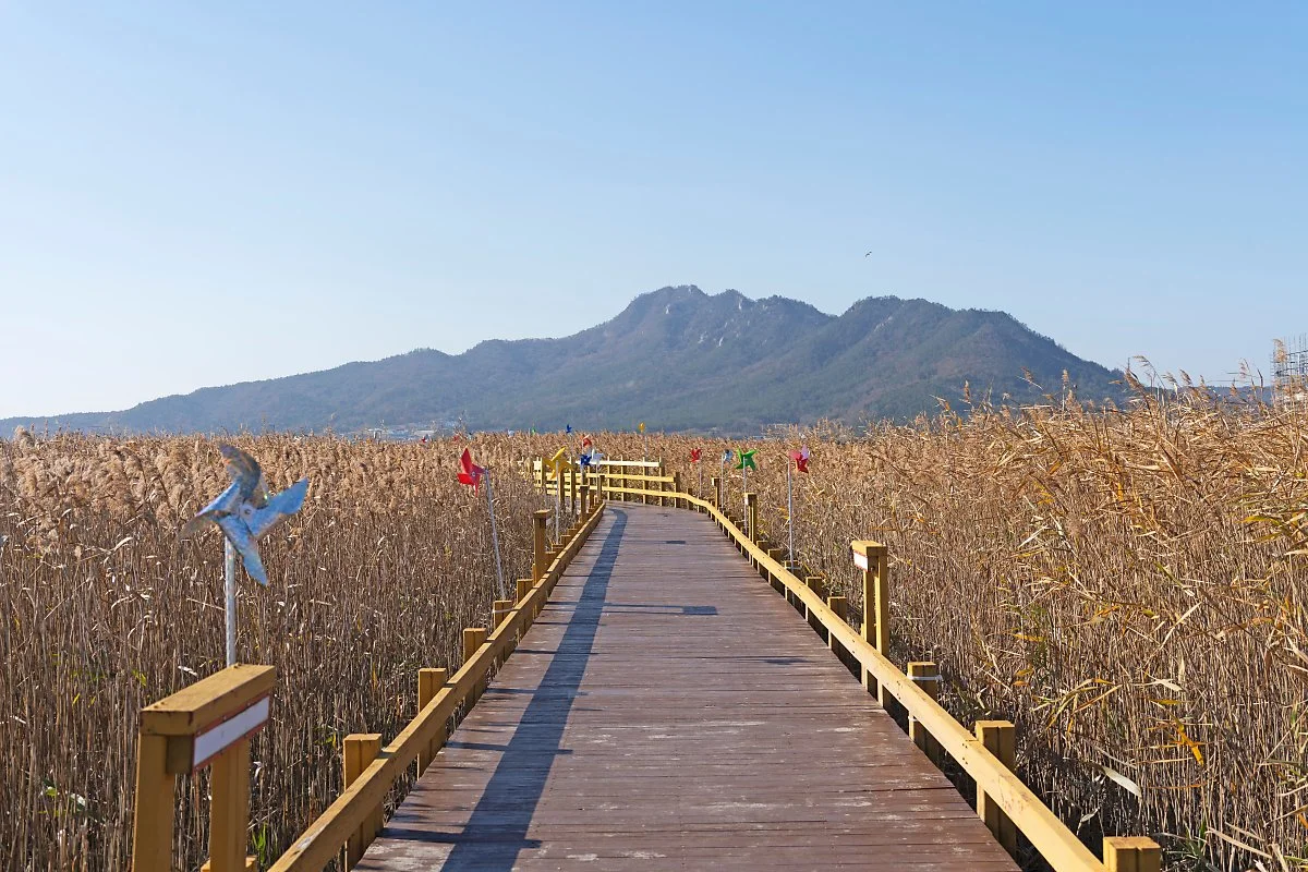 DSC03195.jpg?type=w1200