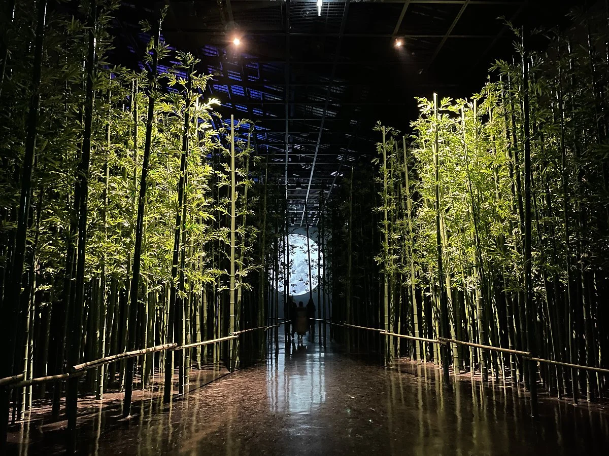 %EB%94%9C%EB%9D%BC%EC%9D%B4%ED%8A%B8%EB%8B%B4%EC%96%91_%EC%A0%95%EC%9D%80%EC%A3%BC_%282%29.JPG?type=w1200