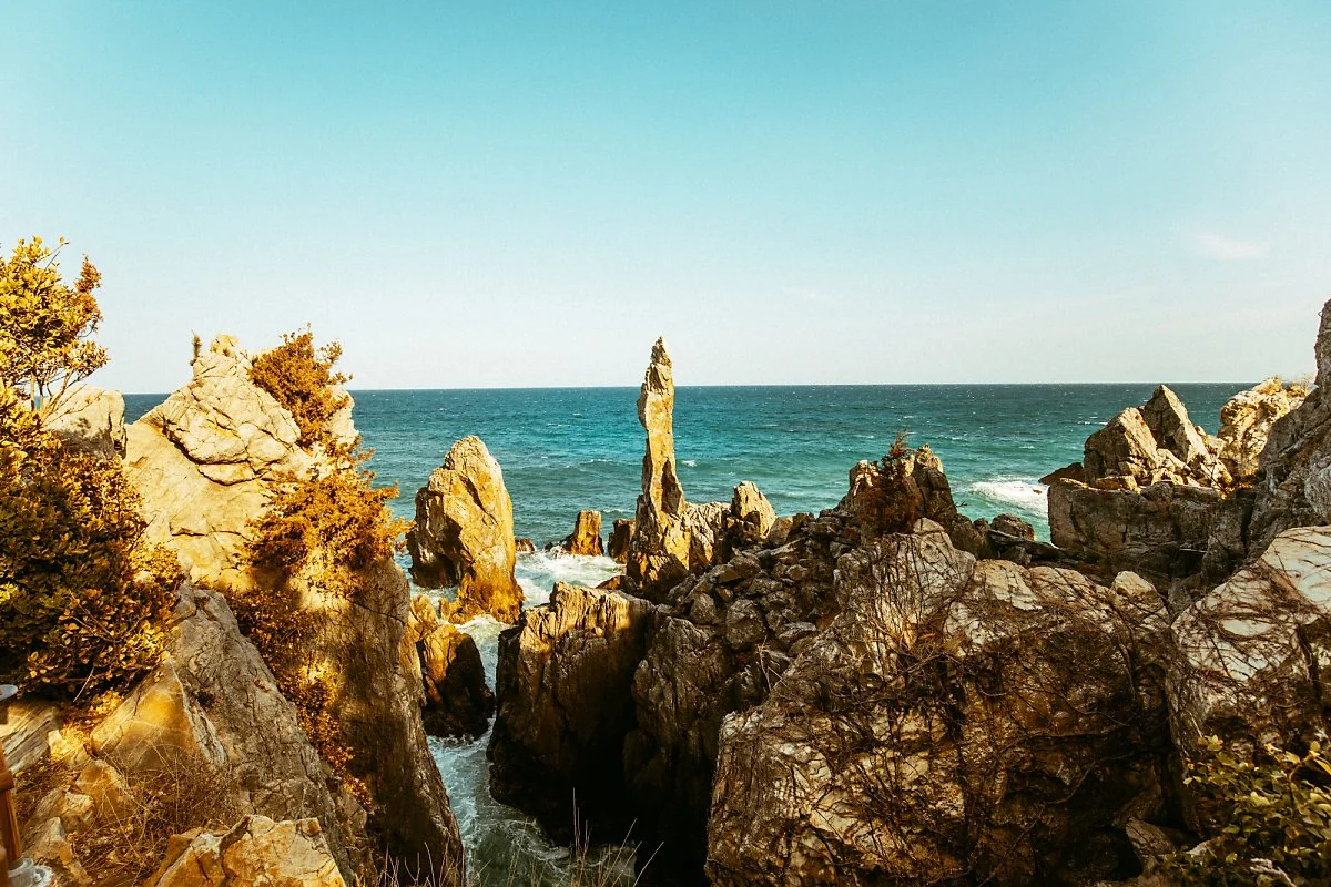 %EC%8F%98%EC%B9%B4.-13.jpg?type=w1200&type=w1200