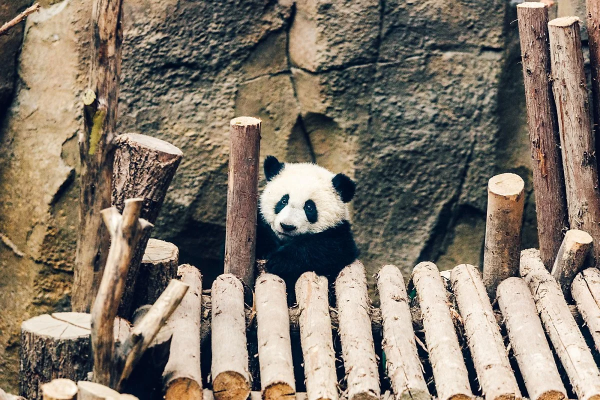 %EB%B3%B4%EC%A0%95%EB%B3%B8-41.jpg?type=w1200