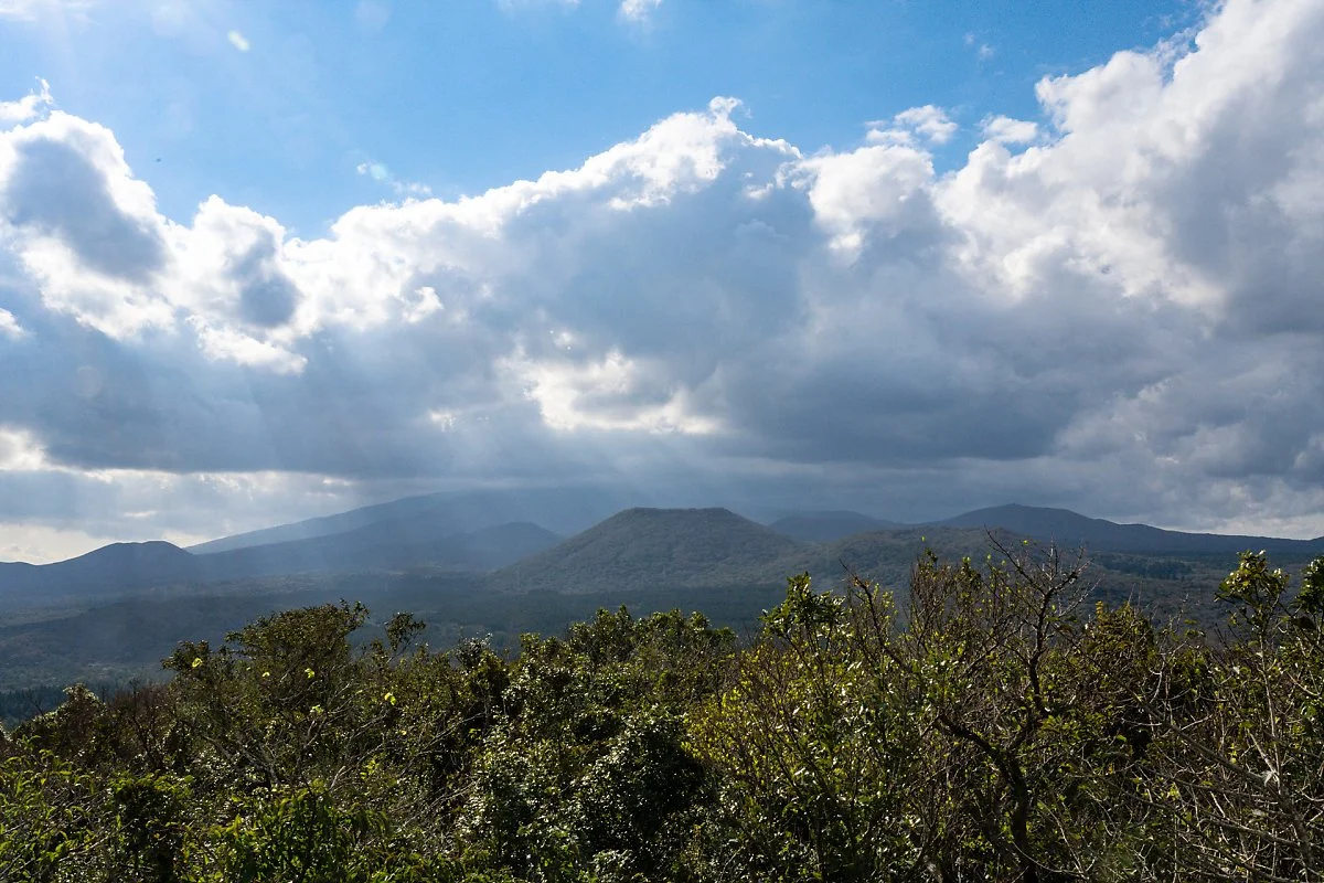 %EB%B6%89%EC%9D%80%EC%98%A4%EB%A6%84_%EC%A0%95%EC%83%81%282%29.jpg?type=w1200