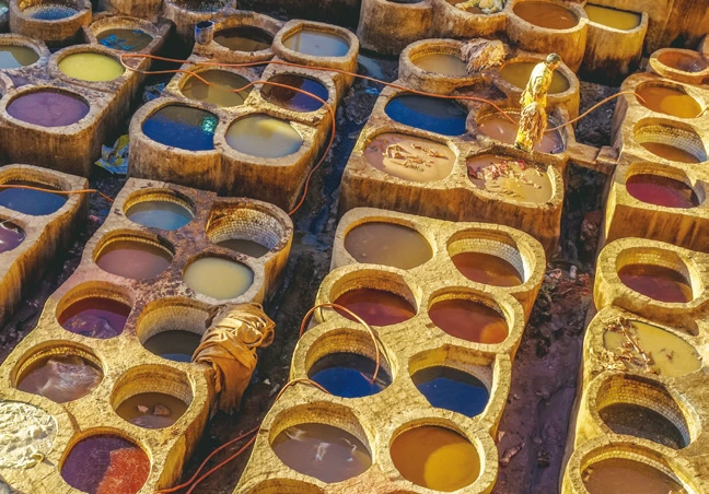 image.png?type=w1200