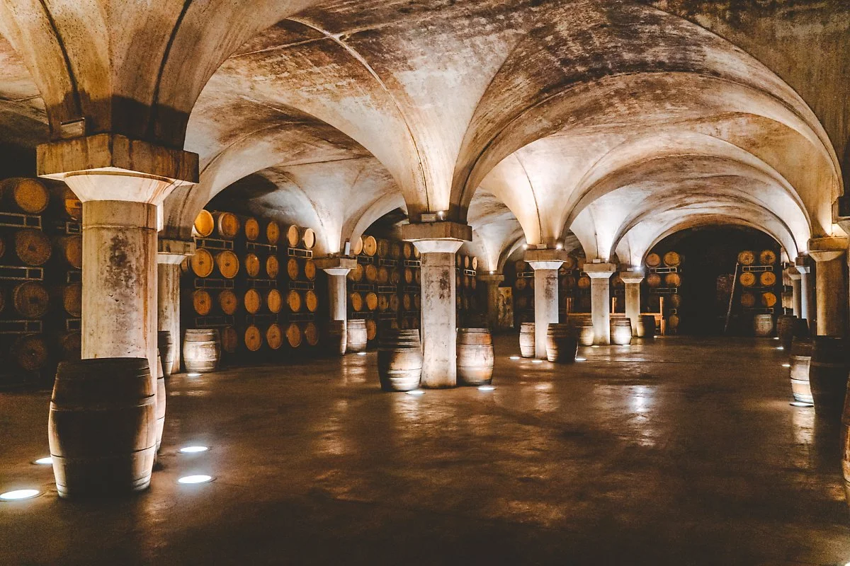 %EC%99%80%EC%9D%B8_%EC%B0%BD%EA%B3%A0_%283%29.jpg?typew1200