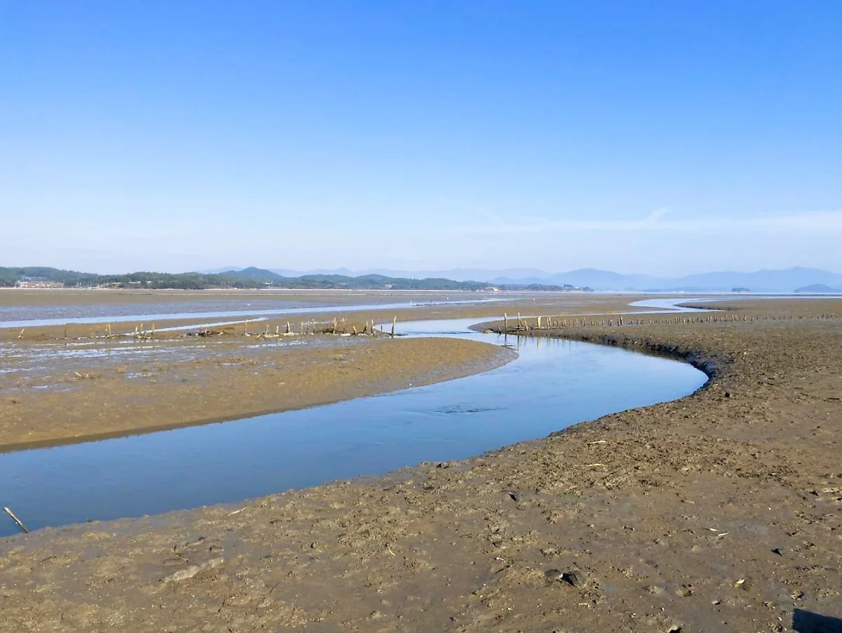 %EC%9A%A9%EC%82%B0%EB%A6%AC_%EA%B0%AF%EB%B2%8C_%EC%95%84%EB%A6%84%EB%8B%A4%EC%9A%B4_%EA%B0%AF%EA%B3%A8.jpg?type=w1200