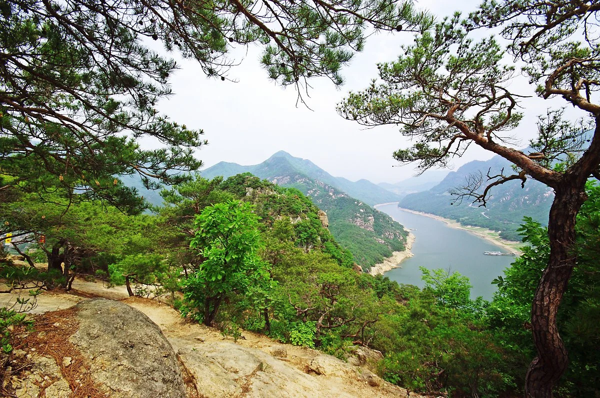 %EA%B5%AC%EB%8B%B4%EB%B4%89%EC%9C%BC%EB%A1%9C_%EA%B0%80%EB%8A%94_%EA%B8%B8._%EB%82%98%EB%AD%87%EA%B0%80%EC%A7%80_%EC%82%AC%EC%9D%B4%EB%A1%9C_%EC%B6%A9%EC%A3%BC%ED%98%B8%EC%99%80_%EC%A3%BC%EB%B3%80_%EC%82%B0%EC%A4%84%EA%B8%B0%EB%93%A4%EC%9D%B4_%EB%B3%B4.JPG?type=w1200