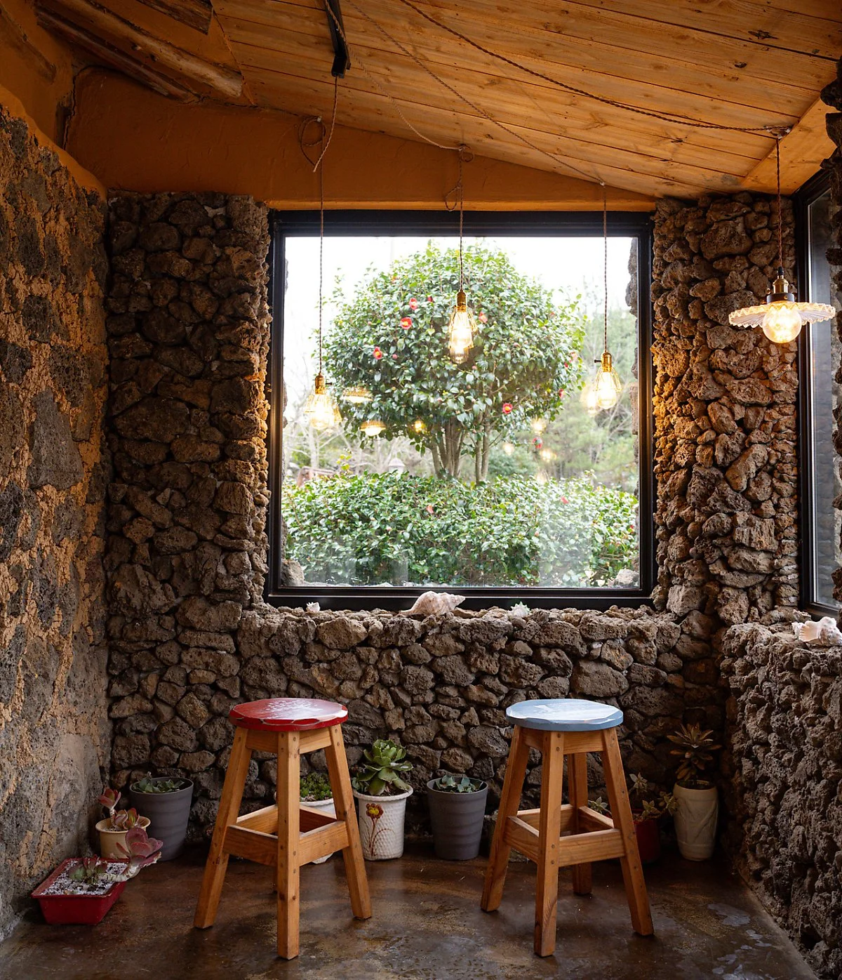 image_5103034081708667965567.jpg?type=w1200