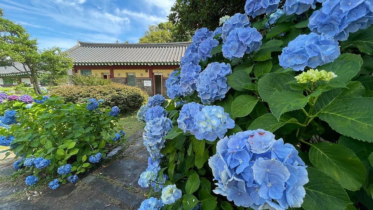 %ED%98%BC%EC%9D%B8%EC%A7%80_%282%29.JPG?type=w1200