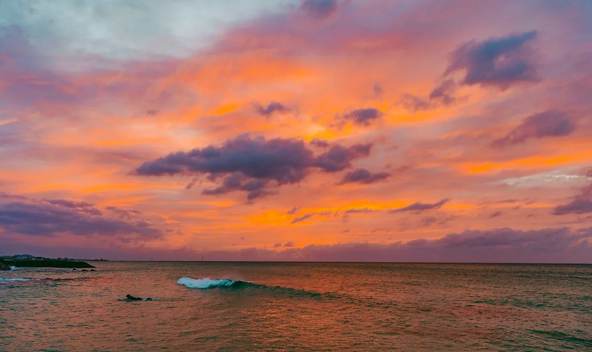 d_%EC%A0%9C%EC%A3%BC_%EC%95%A0%EC%9B%94%EC%97%90%EC%84%9C_%EB%A7%8C%EB%82%9C_%EB%B9%84%ED%98%84%EC%8B%A4%EC%A0%81%EC%9D%B8_%EC%9D%BC%EB%AA%B0.jpg?type=w1200