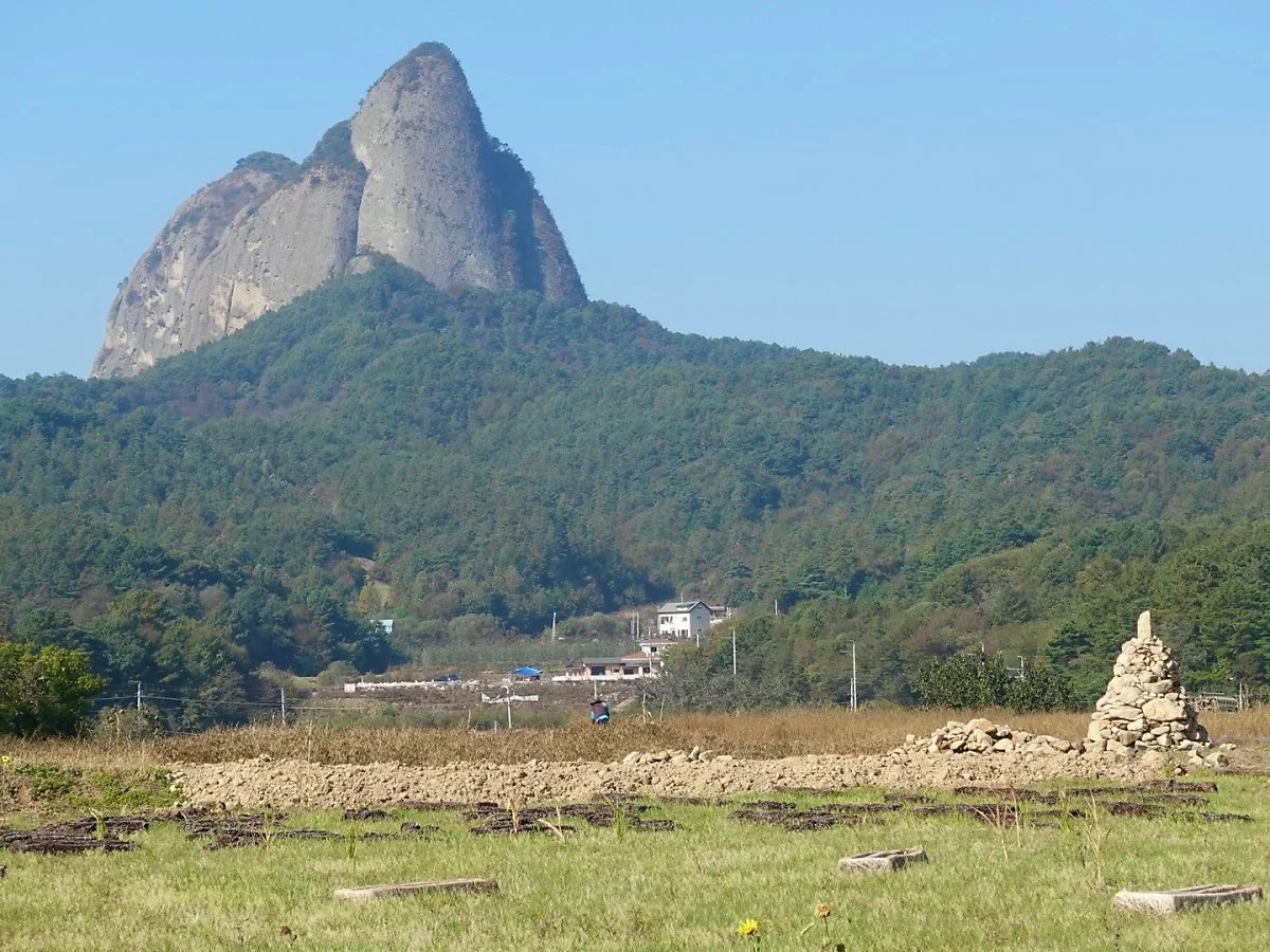 6.%EB%A7%88%EC%9D%B4%EC%82%B0_%EC%88%AB%EB%A7%88%EC%9D%B4%EB%B4%89.jpg?type=w1200