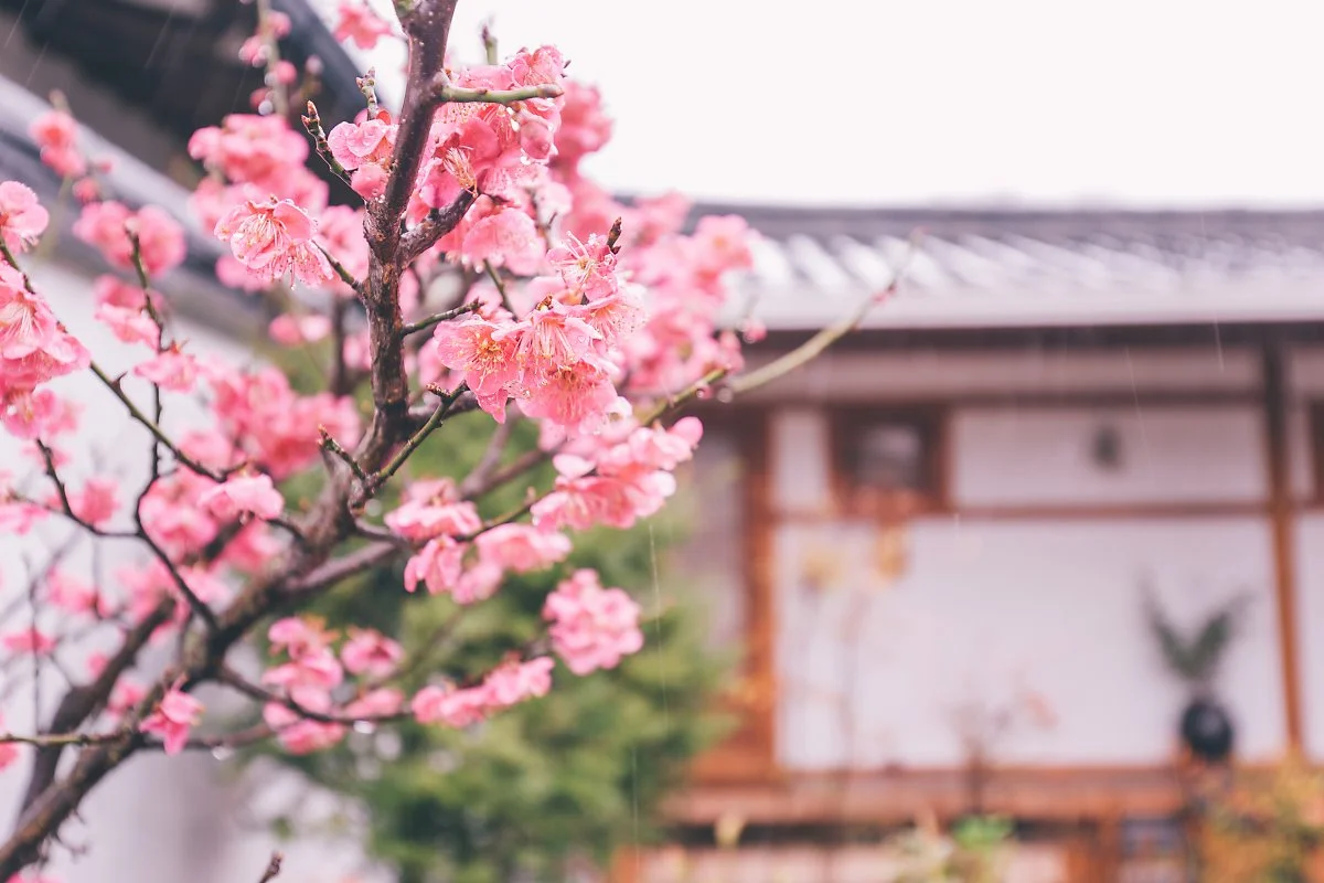 %EA%B2%BD%EC%A3%BC_%EB%A7%88%EC%A7%80%EB%A7%89%EC%A7%91-11.jpg?type=w1200