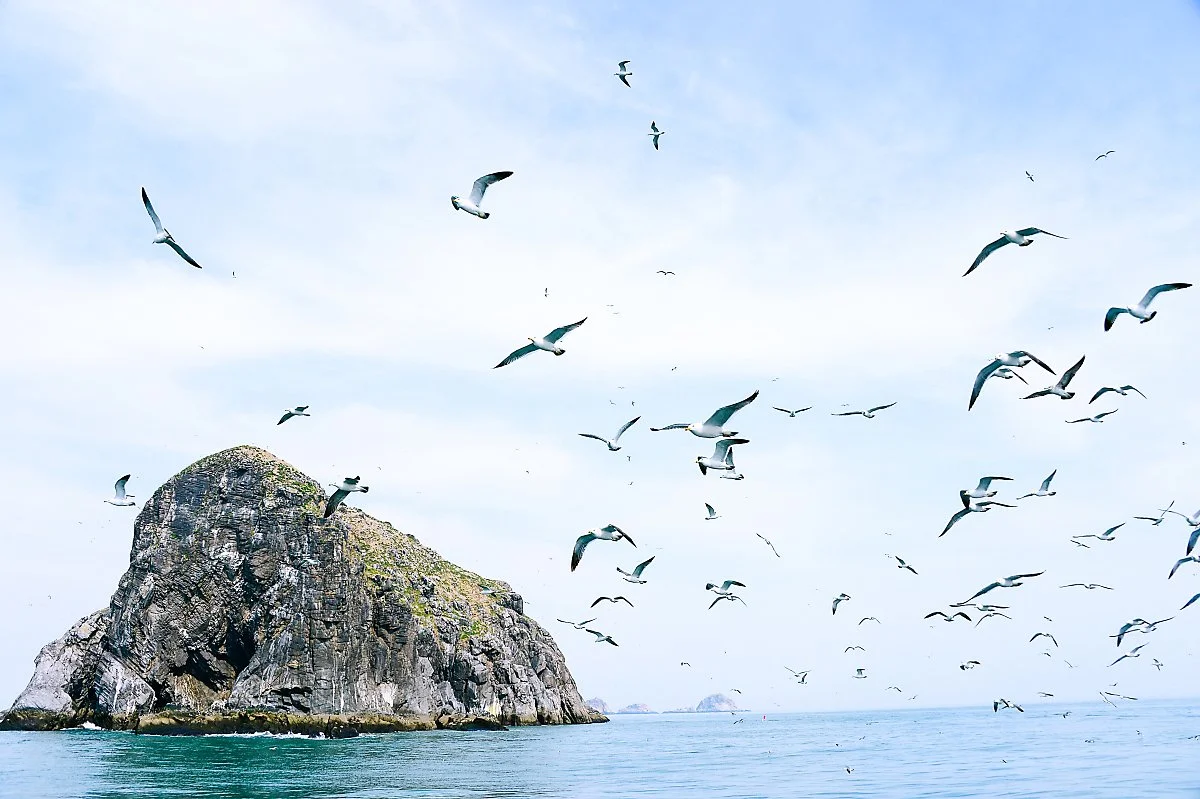 KakaoTalk_20230307_093509350-2.jpg?type=w1200