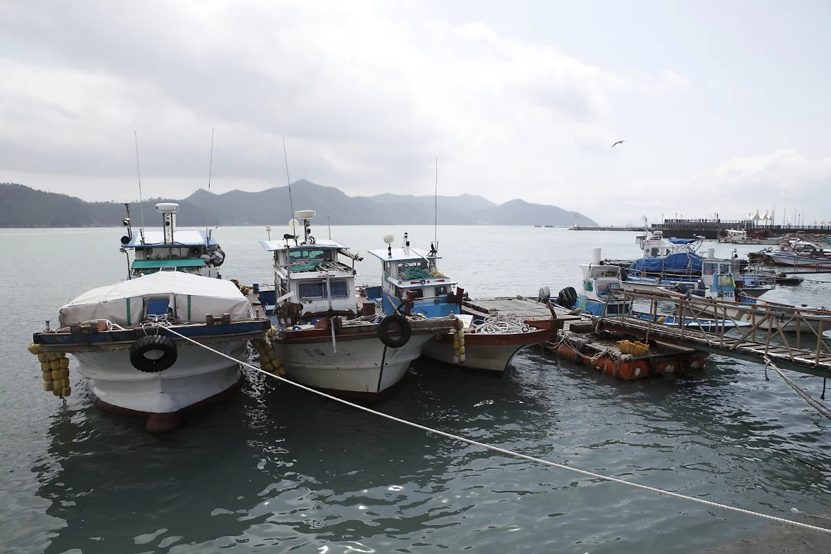 %EB%A7%88%EB%9F%89_2.JPG?type=w1200