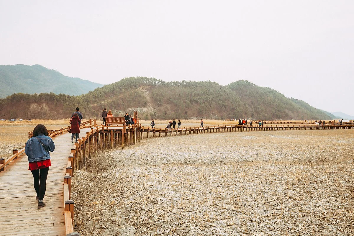 %EC%88%9C%EC%B2%9C_-54.jpg?type=w1200