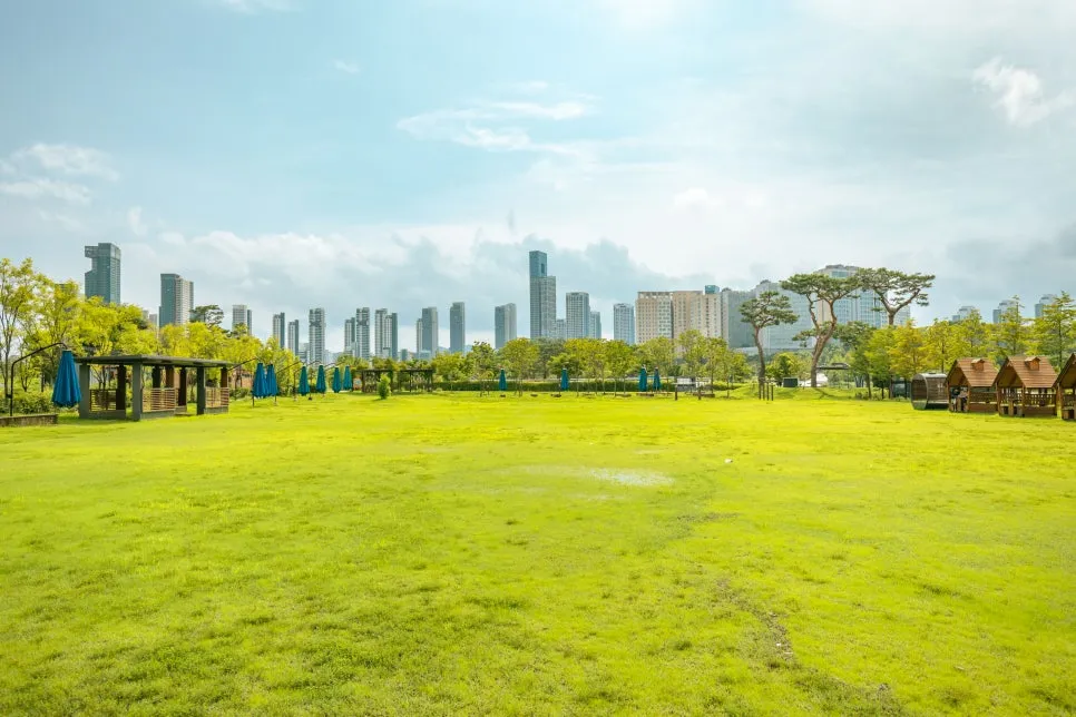 1_%EC%84%B8%EC%A2%85%ED%98%B8%EC%88%98%EA%B3%B5%EC%9B%90%EC%9D%98_%EC%A0%84%EA%B2%BD.jpg?type=w966