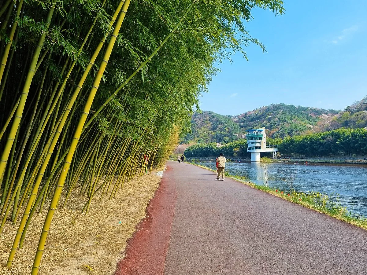 03%EC%8B%AD%EB%A6%AC%EB%8C%80%EC%88%B2_%282%29.jpg?type=w1200