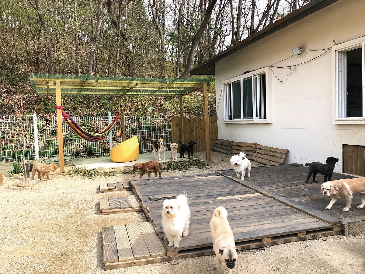 %EC%95%8C%EB%A1%9C%ED%95%98%EB%8F%84%EA%B7%B8_%281%29.jpeg?type=w1200