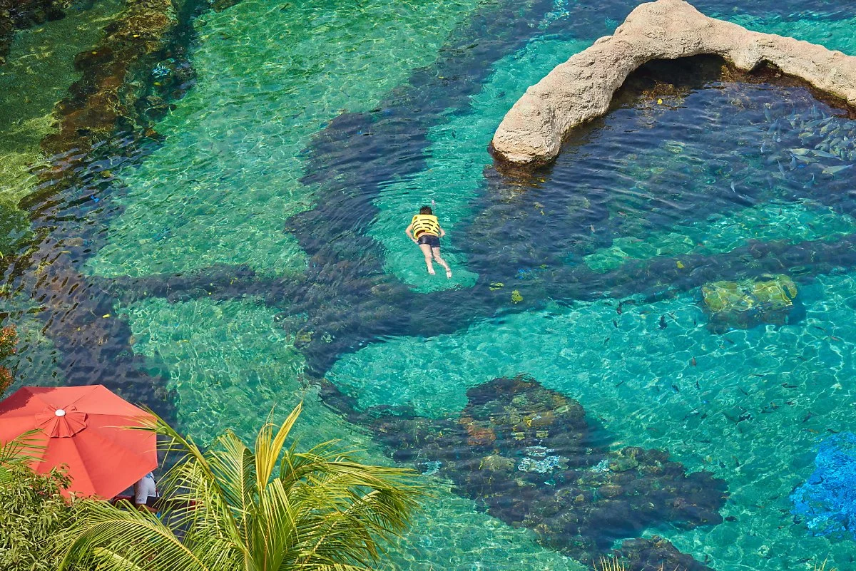 rwsj5793.JPG?type=w1200