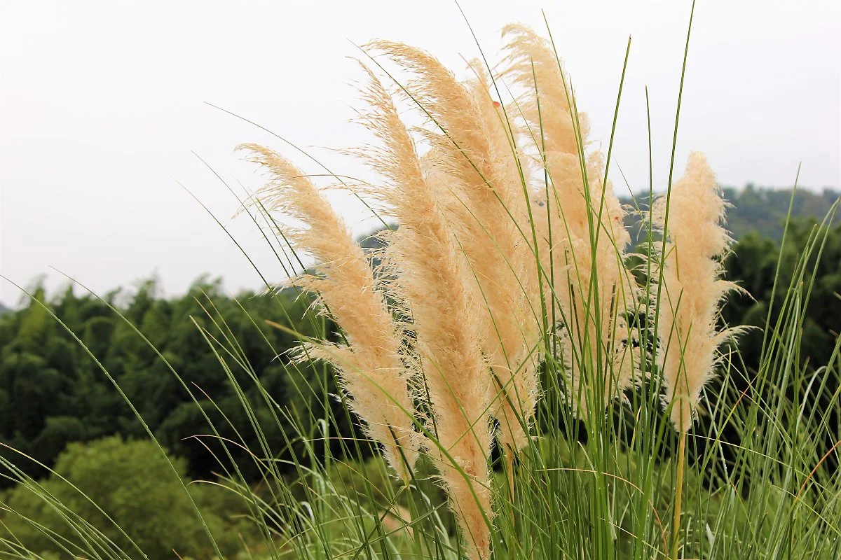 %EA%BD%83%EB%B0%AD_%284%29.JPG?type=w1200