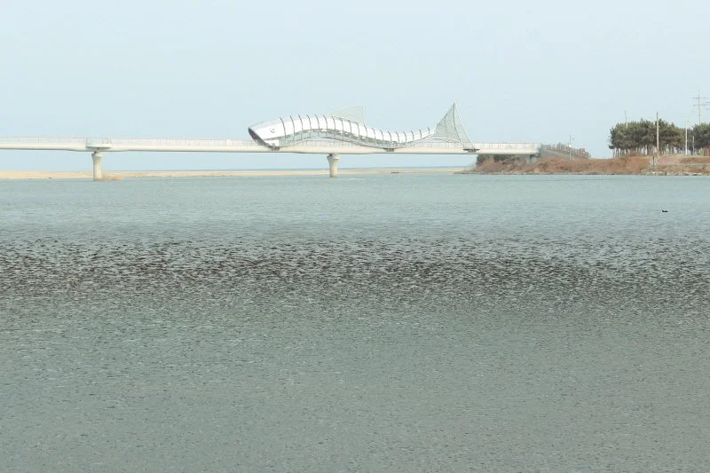 %EC%9D%80%EC%96%B4%EB%8B%A4%EB%A6%AC__%281_-_1%29.jpg?type=w1200&type=w1200