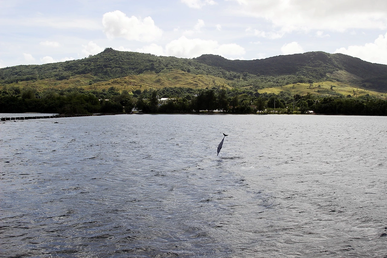 돌핀투어 (2).JPG