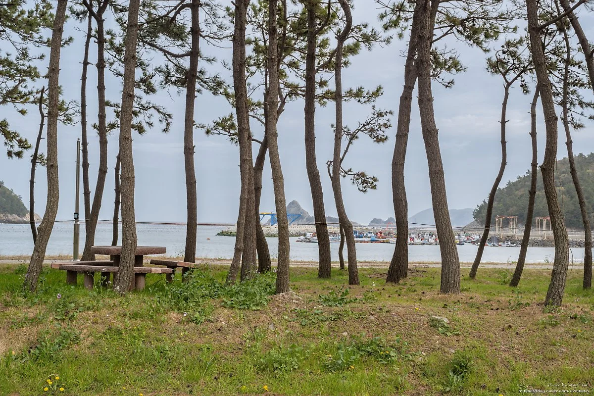 %ED%86%B5%EB%A6%AC%ED%95%B4%EB%B3%80.jpg?type=w1200