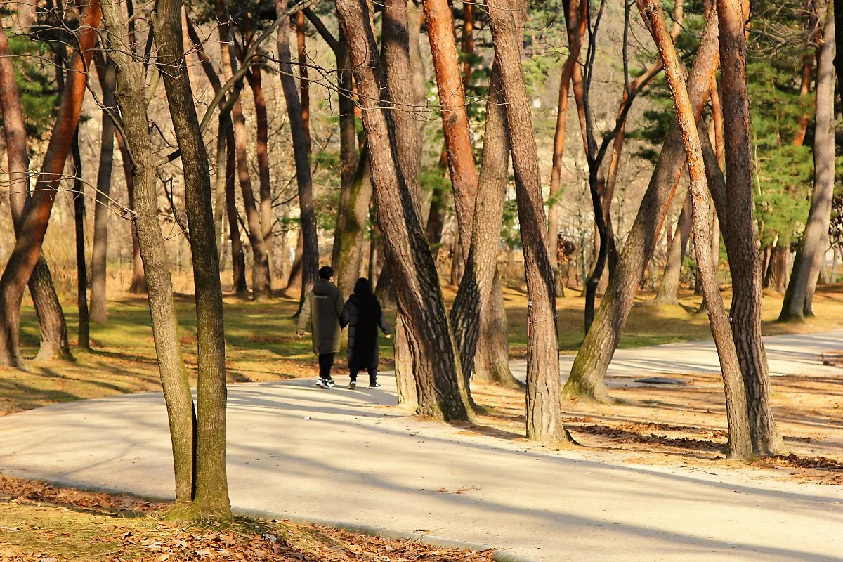 %EC%9C%B5%EA%B1%B4%EB%A6%89_%283%29.JPG?type=w1200