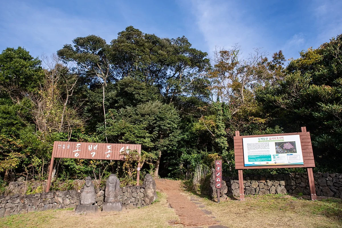 %EB%8F%99%EB%B0%B1%EB%8F%99%EC%82%B0_001.jpg?type=w1200