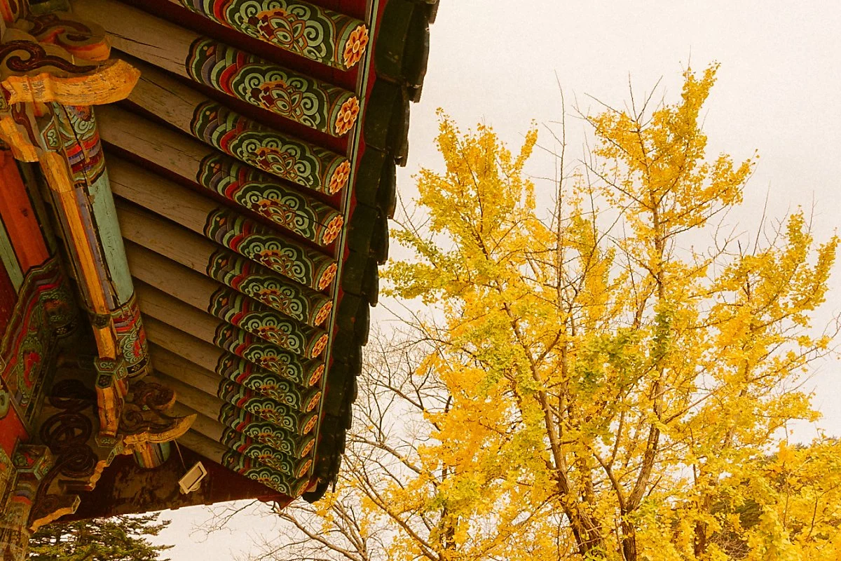 %EC%86%8D%EC%B4%88_%EC%9A%B0%EC%84%A0_-8.jpg?type=w1200