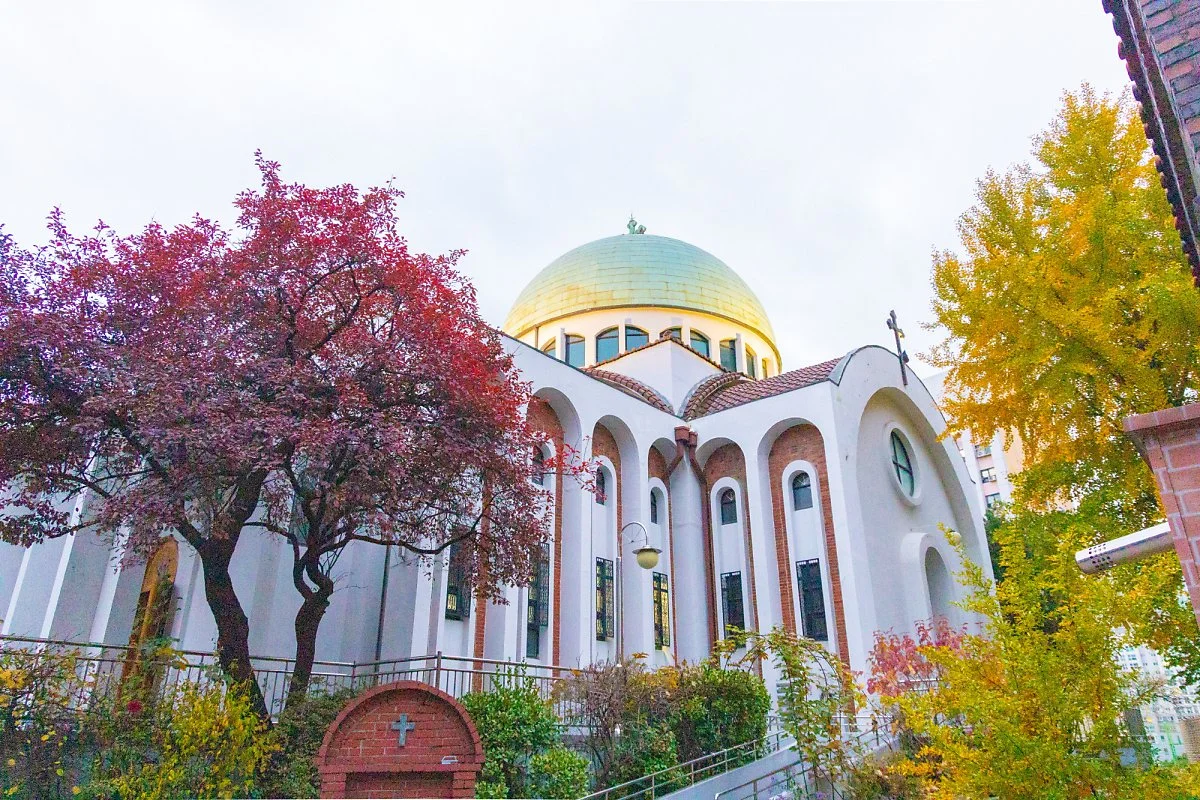 %ED%81%AC%EA%B8%B0%EB%B3%80%ED%99%98IMG_0501.jpg?type=w1200