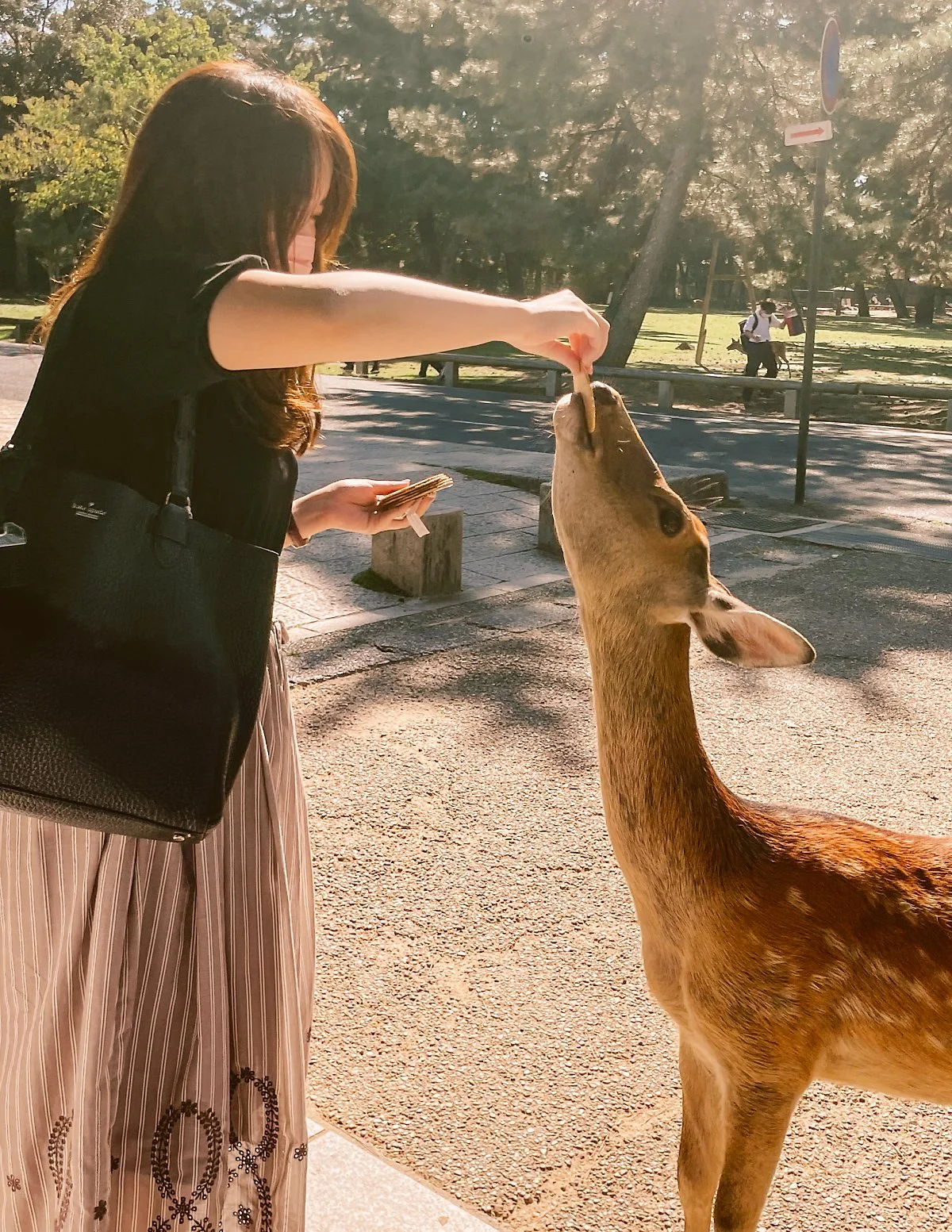 %EB%82%98%EB%9D%BC%EA%B3%B5%EC%9B%90_%2817%29-12.jpg?typew1200