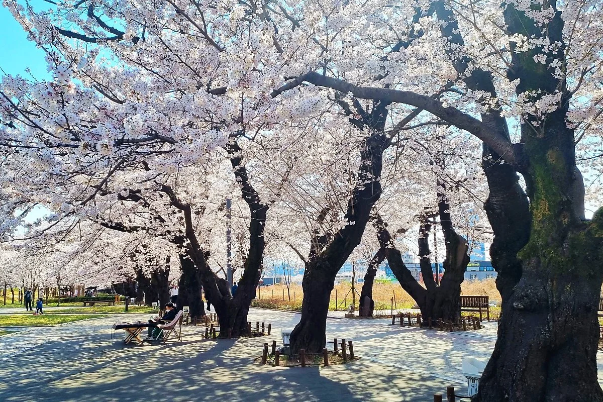 01%EC%9E%91%EC%B2%9C%EC%A0%95_%284%29.jpg?type=w1200