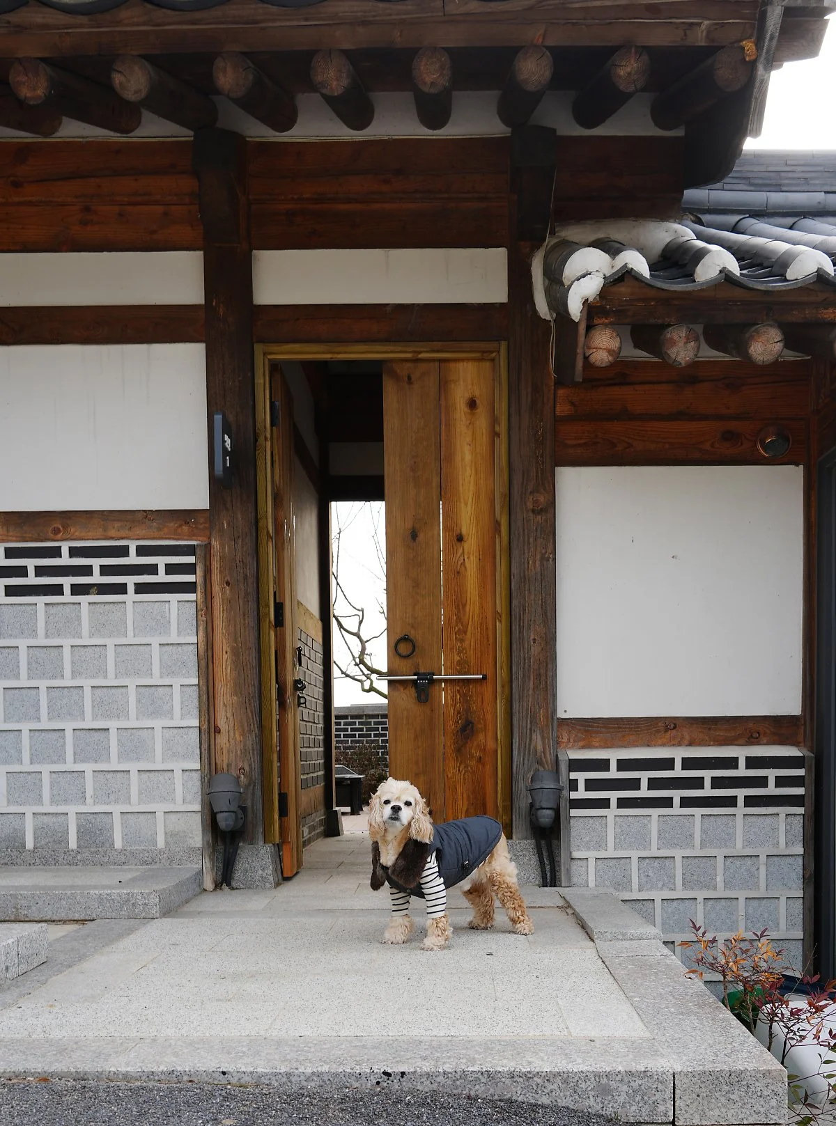 _%EB%8C%95%EB%8C%95%EB%A3%B8_%EC%95%9E%EC%97%90%EC%84%9C.jpg?type=w1200