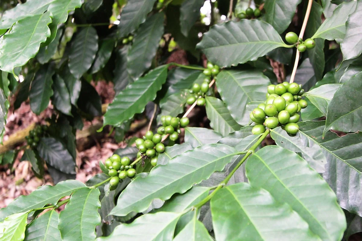 08%EC%8B%9C%EC%97%94%ED%9B%84_%2819%29.JPG?type=w1200