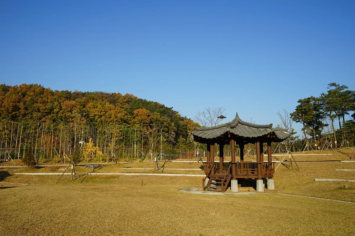 %EA%B2%BD%EC%83%81%EB%B6%81%EB%8F%84%EB%8F%85%EB%A6%BD%EC%9A%B4%EB%8F%99%EA%B8%B0%EB%85%90%EA%B4%80_%2816%29.JPG?type=w1200