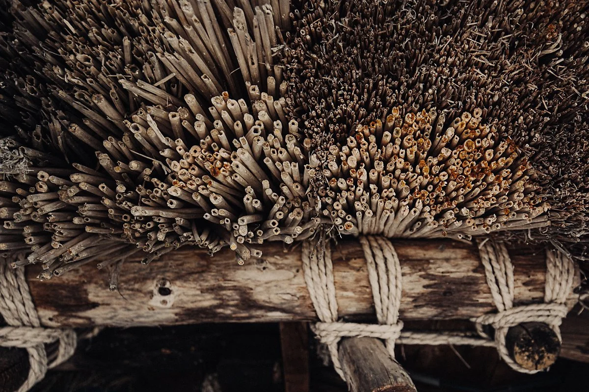 %ED%95%A9%EC%9E%A5%EB%A7%88%EC%9D%84-26.jpg?type=w1200