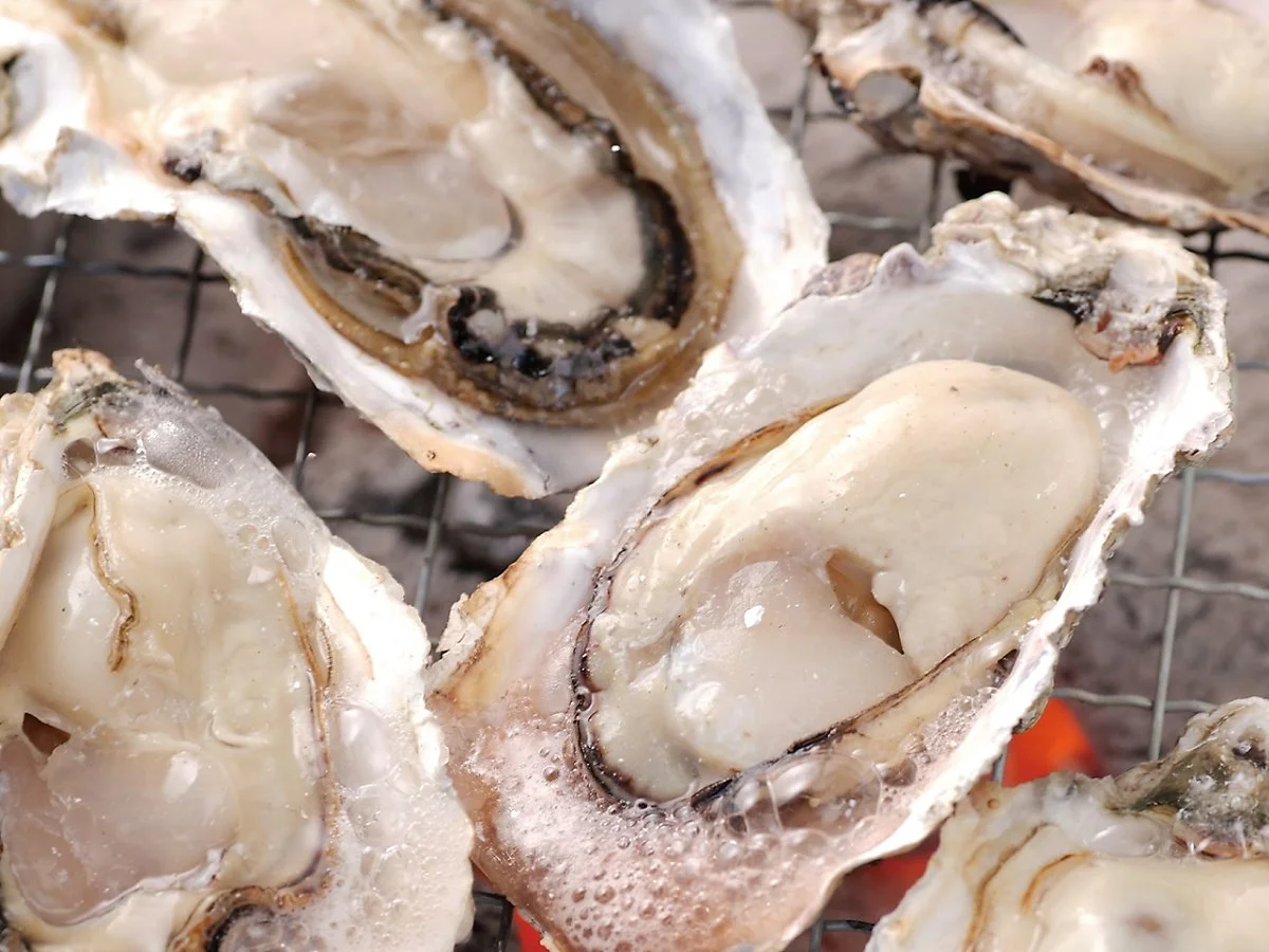 %EB%8B%A4%EC%BC%80%EC%9E%90%ED%82%A4%EA%B5%B4_%EB%82%98.jpg?type=w1200