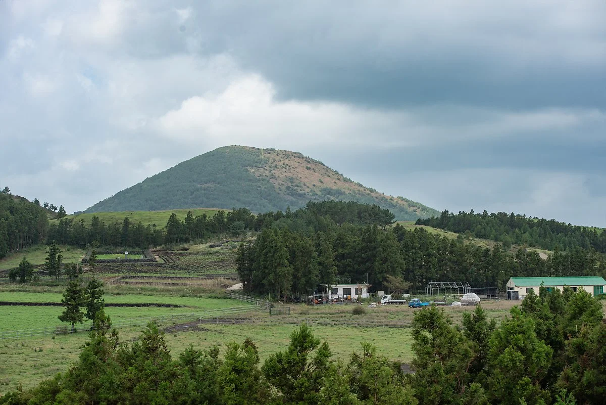 %EC%86%90%EC%A7%80%EC%98%A4%EB%A6%84_%281%29.jpg?type=w1200