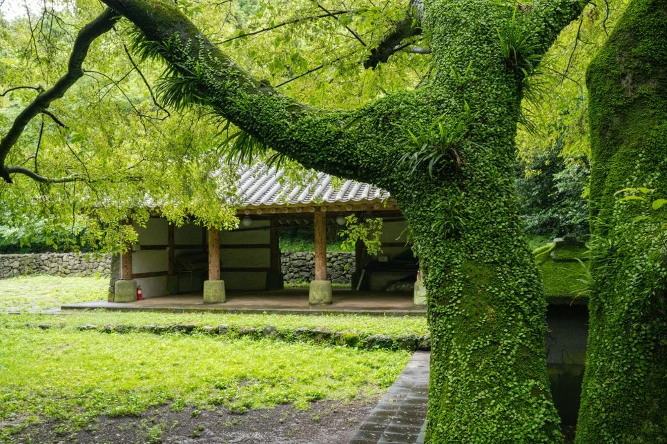 2_%EC%86%A1%EB%8B%B9%EB%A6%AC_%EB%B3%B8%ED%96%A5%EB%8B%B9%EC%9D%98_%EC%99%B8%EA%B4%80.jpg?type=w966